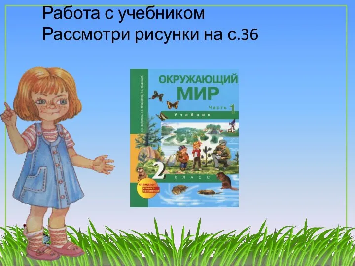 Работа с учебником Рассмотри рисунки на с.36