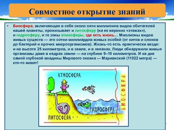 Биосфера, включающая в себя около пяти миллионов видов обитателей нашей планеты,