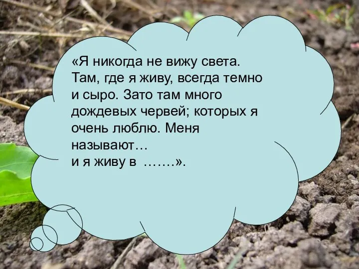 «Я никогда не вижу света. Там, где я живу, всегда темно