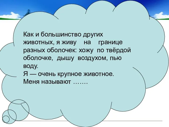 Как и большинство других животных, я живу на границе разных оболочек: