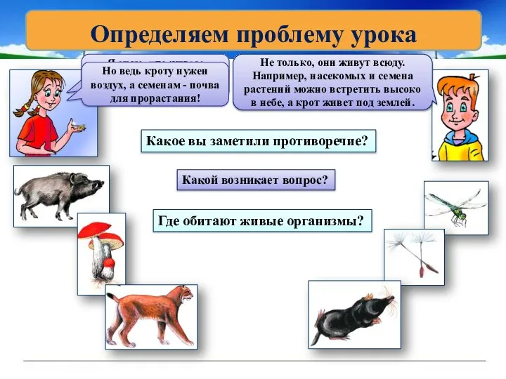 Определяем проблему урока Я знаю, что живые организмы обитают на поверхности