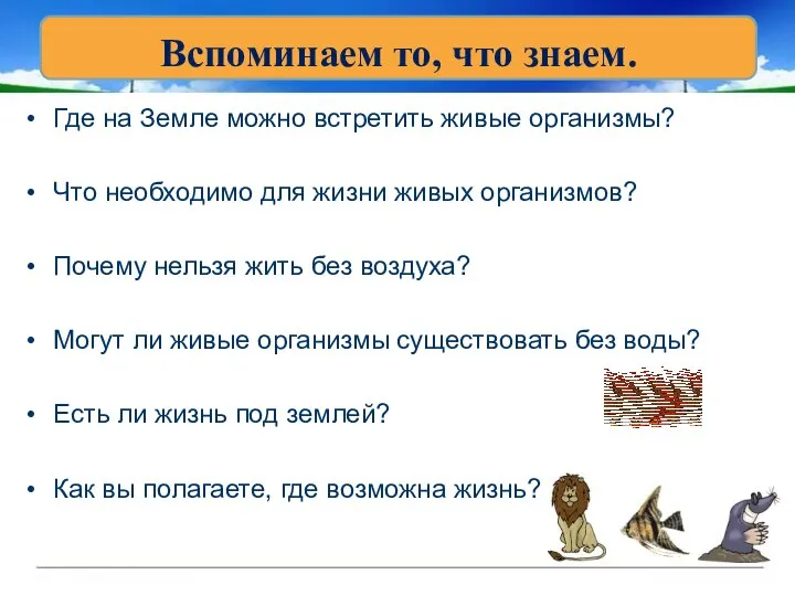 Где на Земле можно встретить живые организмы? Что необходимо для жизни