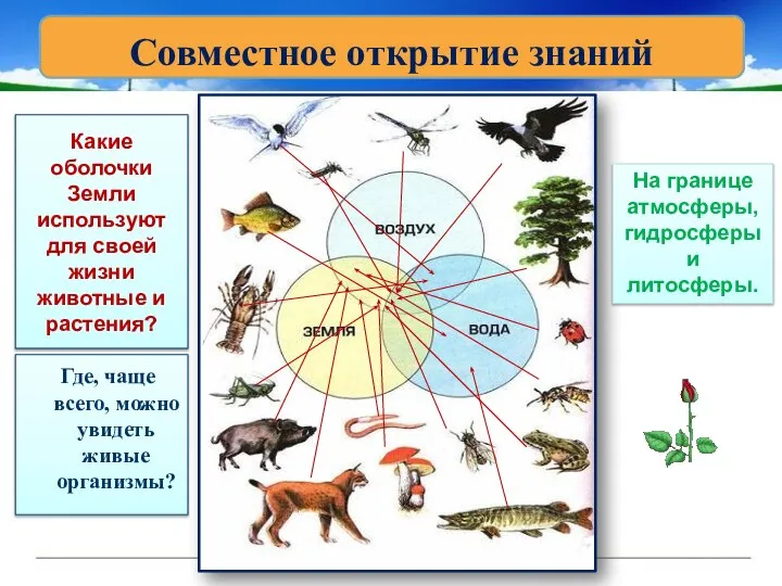 Какие оболочки Земли используют для своей жизни животные и растения? Где,