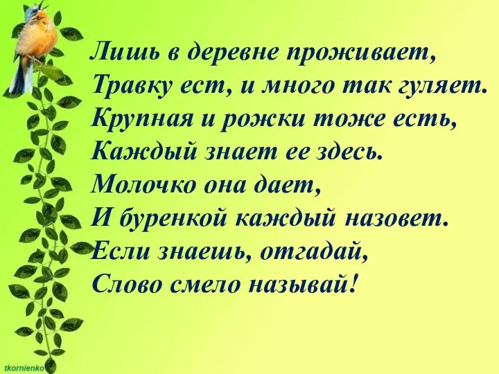 Лишь в деревне проживает, Травку ест, и много так гуляет. Крупная