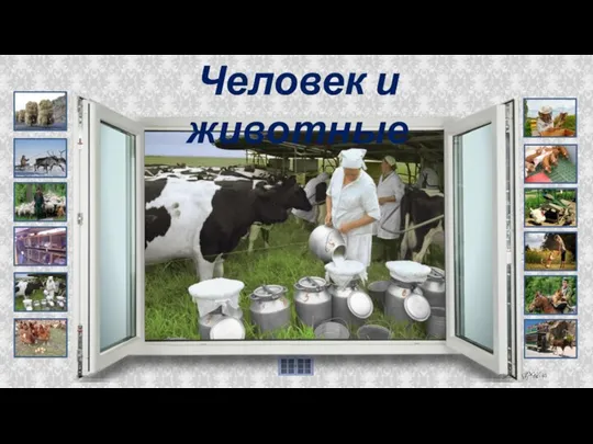 Человек и животные