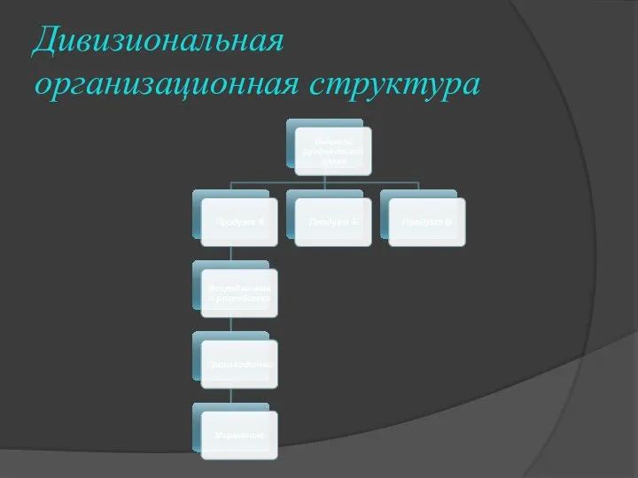 Дивизиональная организационная структура