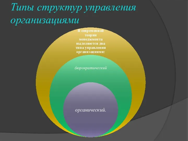 Типы структур управления организациями