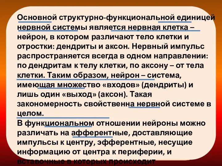 Основной структурно-функциональной единицей нервной системы является нервная клетка – нейрон, в