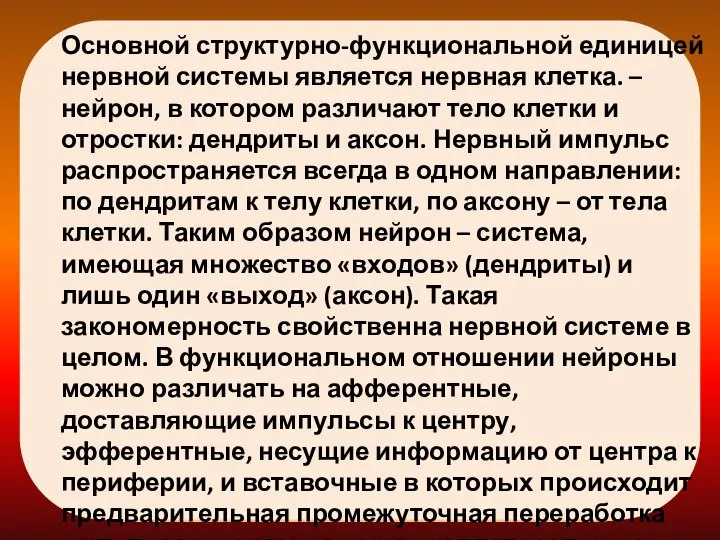 Основной структурно-функциональной единицей нервной системы является нервная клетка. – нейрон, в