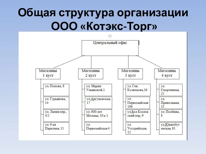 Общая структура организации ООО «Котэкс-Торг»