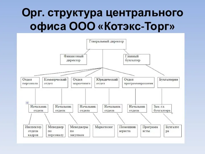 Орг. структура центрального офиса ООО «Котэкс-Торг»