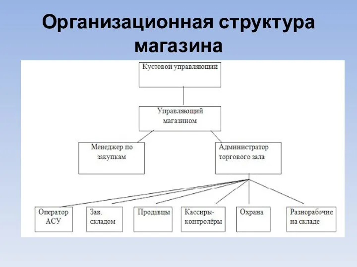 Организационная структура магазина