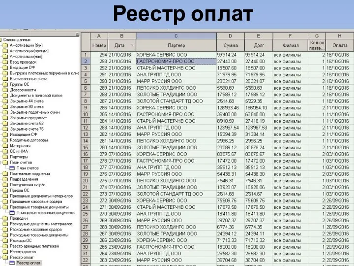 Реестр оплат