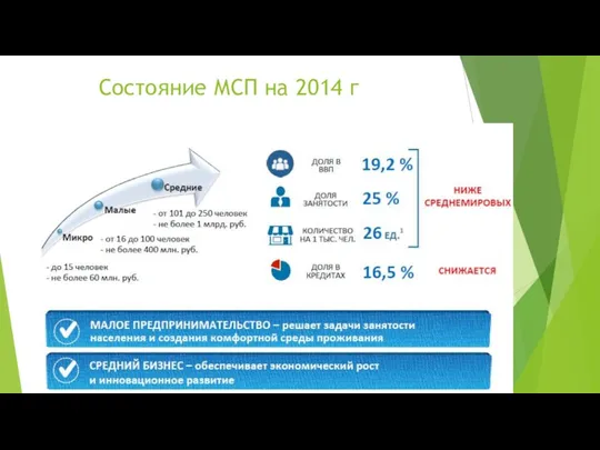 Состояние МСП на 2014 г