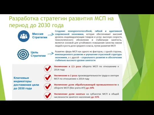 Разработка стратегии развития МСП на период до 2030 года