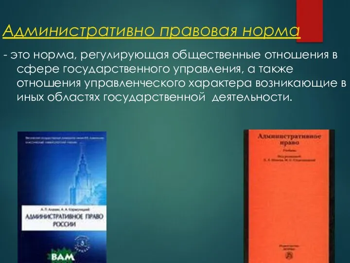 Административно правовая норма - это норма, регулирующая общественные отношения в сфере