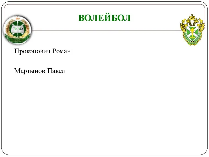 Волейбол Прокопович Роман Мартынов Павел