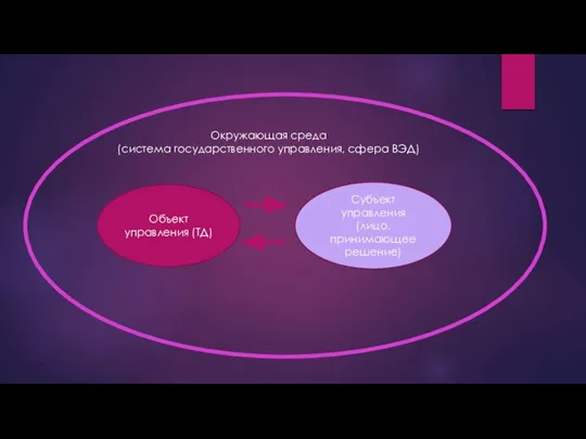 Объект управления (ТД) Субъект управления (лицо, принимающее решение) Ок­ружающая среда (система государственного управления, сфера ВЭД)