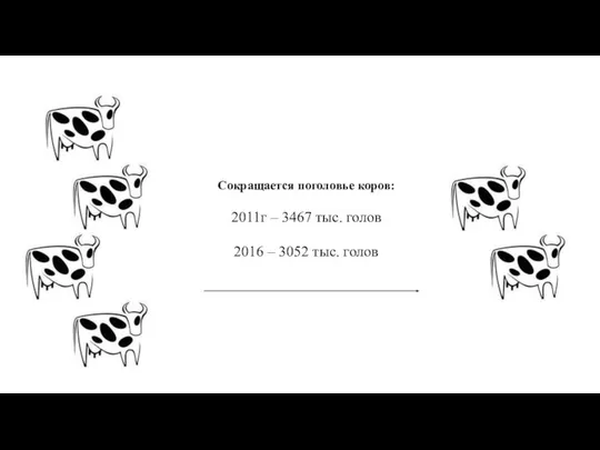 Сокращается поголовье коров: 2011г – 3467 тыс. голов 2016 – 3052 тыс. голов