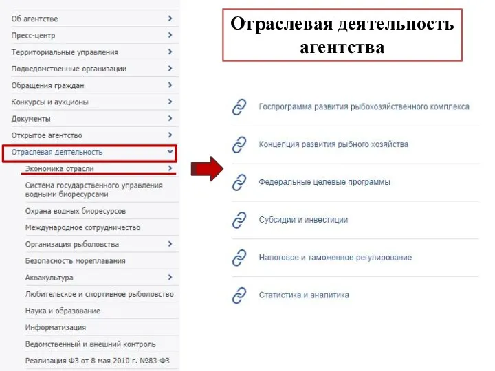 Отраслевая деятельность агентства