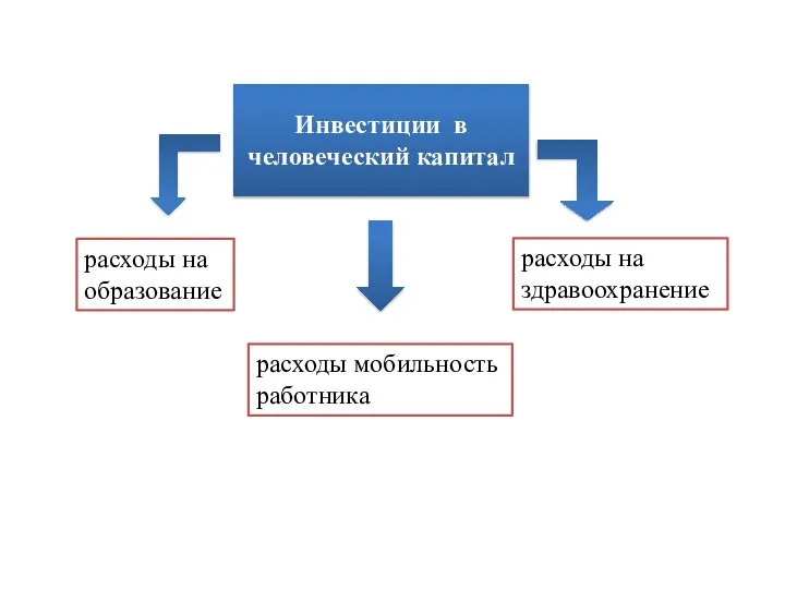 Инвестиции в человеческий капитал расходы на образование расходы на здравоохранение расходы мобильность работника