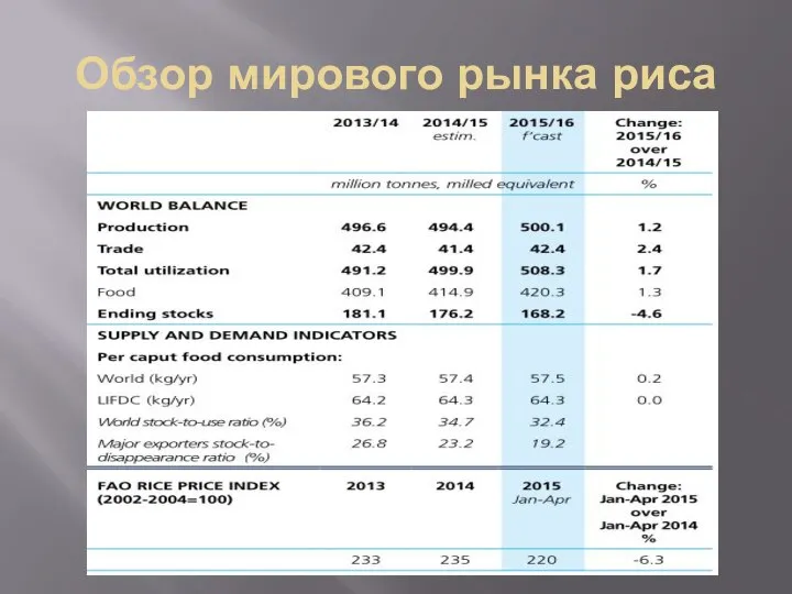 Обзор мирового рынка риса