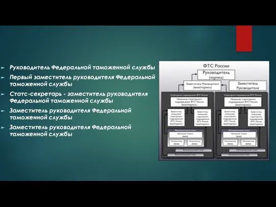 Руководитель Федеральной таможенной службы Первый заместитель руководителя Федеральной таможенной службы Статс-секретарь