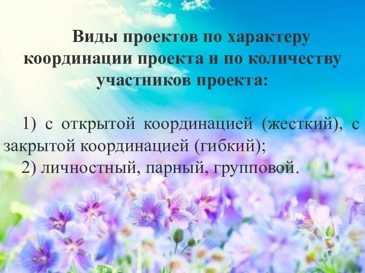 Виды проектов по характеру координации проекта и по количеству участников проекта: