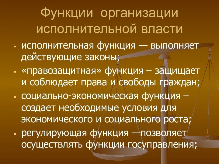 Функции организации исполнительной власти исполнительная функция — выполняет действующие законы; «правозащитная»