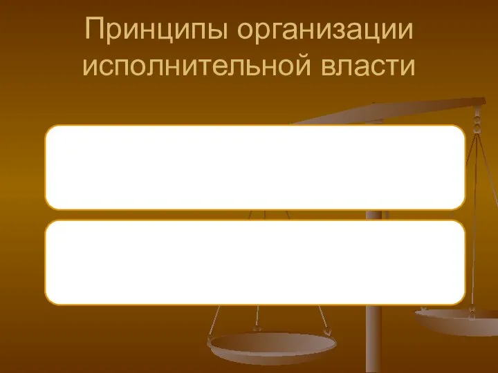 Принципы организации исполнительной власти