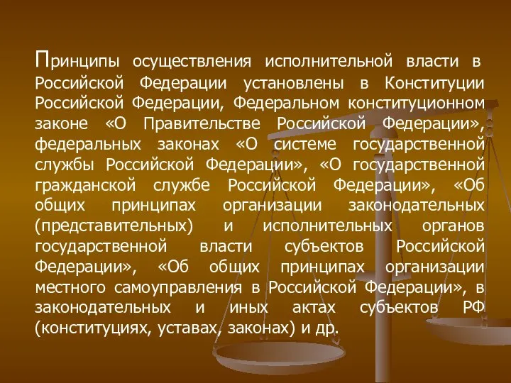 Принципы осуществления исполнительной власти в Российской Федерации установлены в Конституции Российской