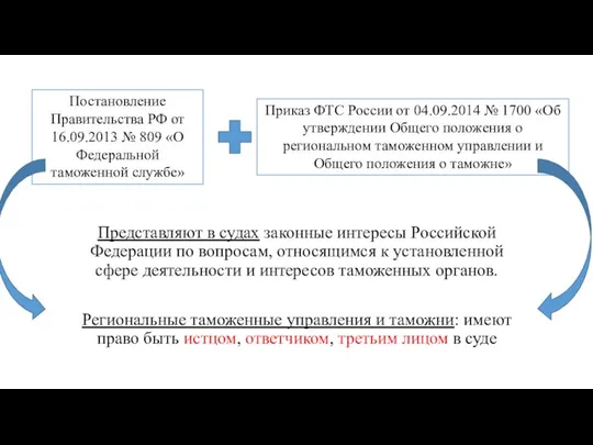 Представляют в судах законные интересы Российской Федерации по вопросам, относящимся к