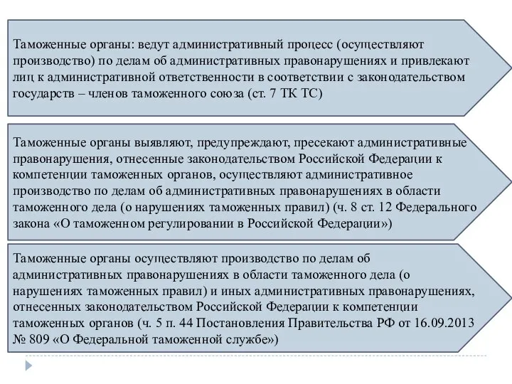 Таможенные органы: ведут административный процесс (осуществляют производство) по делам об административных