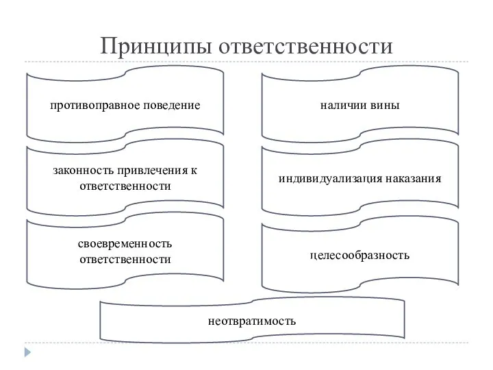 Принципы ответственности противоправное поведение наличии вины законность привлечения к ответственности индивидуализация наказания своевременность ответственности целесообразность неотвратимость