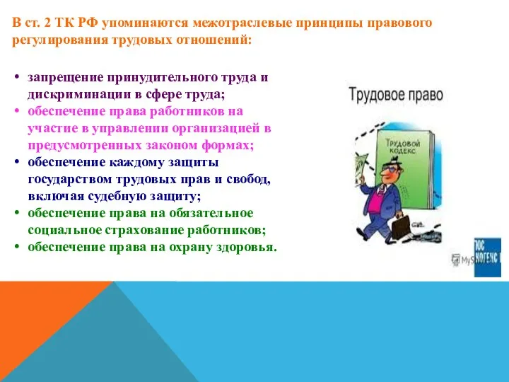 В ст. 2 ТК РФ упоминаются межотраслевые принципы правового регулирования трудовых