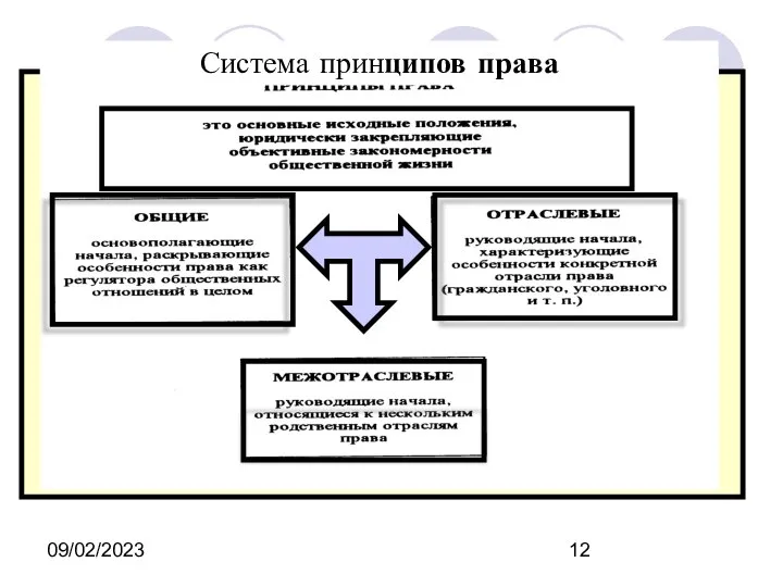 09/02/2023 Система принципов права