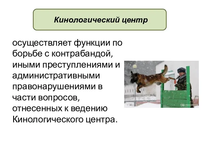 осуществляет функции по борьбе с контрабандой, иными преступлениями и административными правонарушениями