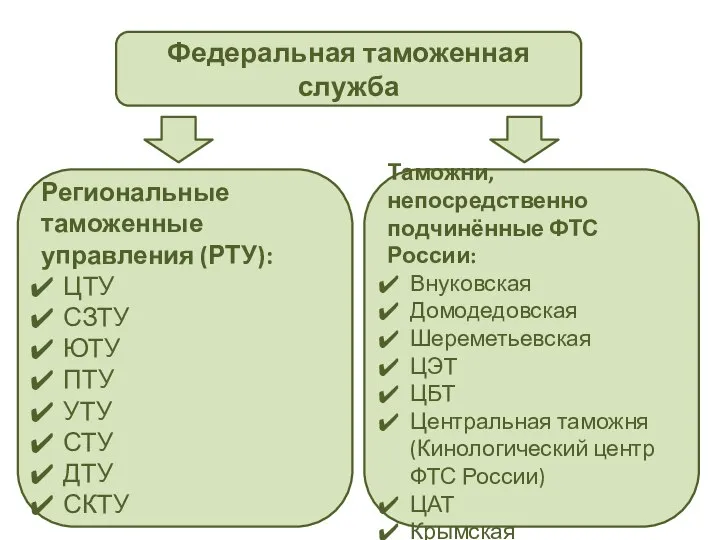 Федеральная таможенная служба Региональные таможенные управления (РТУ): ЦТУ СЗТУ ЮТУ ПТУ