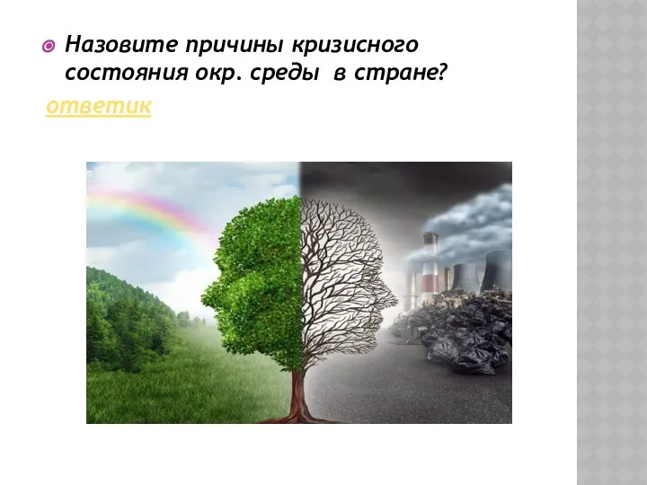 Назовите причины кризисного состояния окр. среды в стране? ответик