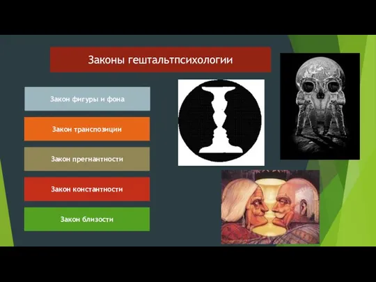 Законы гештальтпсихологии Закон фигуры и фона Закон транспозиции Закон прегнантности Закон константности Закон близости