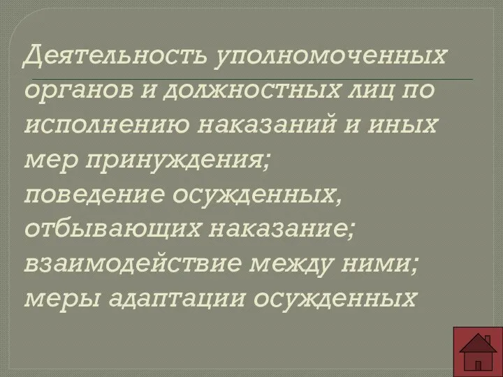 Деятельность уполномоченных органов и должностных лиц по исполнению наказаний и иных