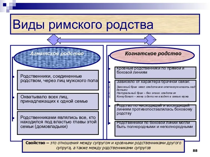 Виды римского родства Агнатское родство Родственники, соединенные родством, через лиц мужского