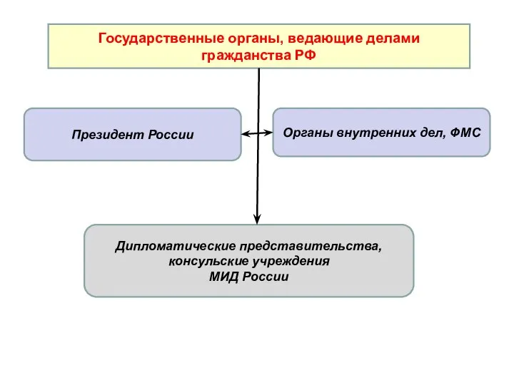 Государственные органы, ведающие делами гражданства РФ Президент России Органы внутренних дел,
