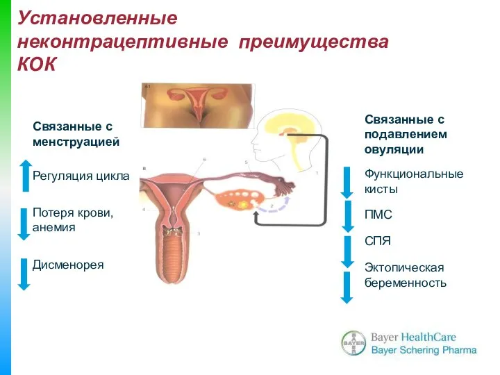 Связанные с менструацией Регуляция цикла Потеря крови, анемия Дисменорея Связанные с