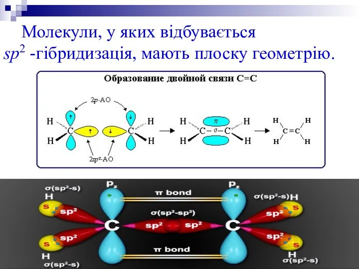 Молекули, у яких відбувається sp2 -гібридизація, мають плоску геометрію.