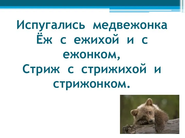 Испугались медвежонка Ёж с ежихой и с ежонком, Стриж с стрижихой и стрижонком.