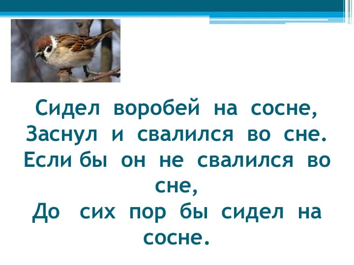 Сидел воробей на сосне, Заснул и свалился во сне. Если бы