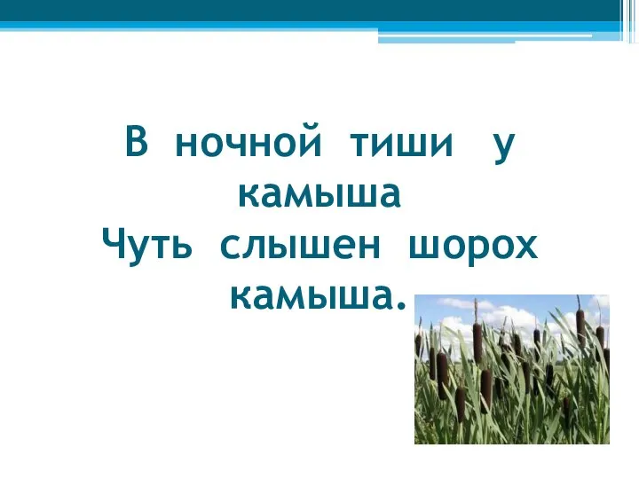 В ночной тиши у камыша Чуть слышен шорох камыша.