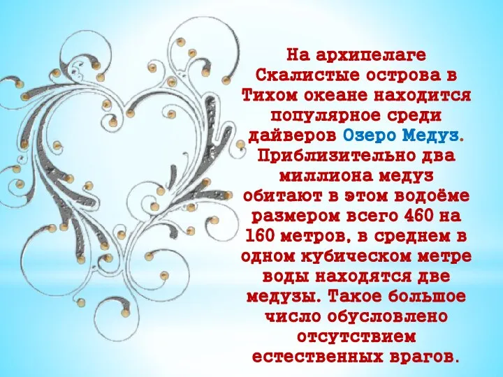 На архипелаге Скалистые острова в Тихом океане находится популярное среди дайверов