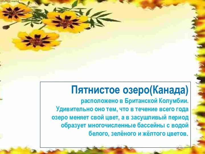 Пятнистое озеро(Канада) расположено в Британской Колумбии. Удивительно оно тем, что в